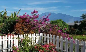 Sabah Tea Garden