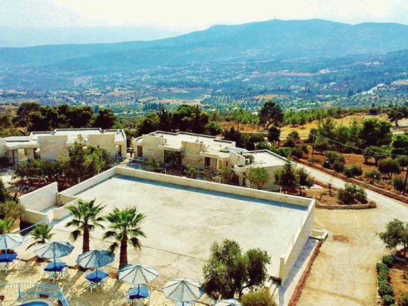 Olive Branch Hotel - Housity
