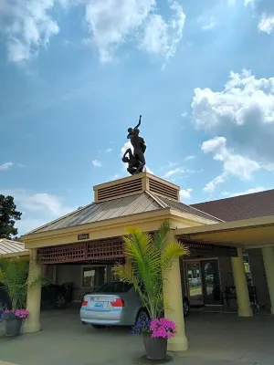 Southern Comfort Suites Hotels in 