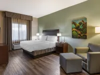 Holiday Inn Express & Suites INDIO - COACHELLA VALLEY by IHG Hotels in Indio