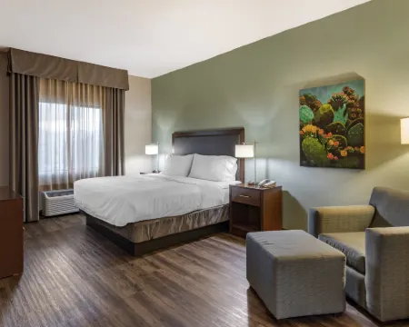 Holiday Inn Express & Suites INDIO - COACHELLA VALLEY by IHG Hotels in Indio
