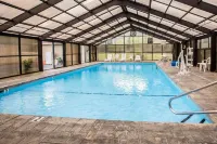 Comfort Inn Near Great Smoky Mountain National Park - piscine