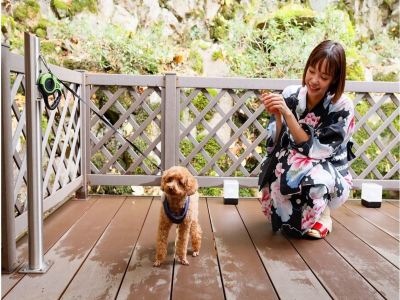 その他 城崎温泉 お宿 白山 花まんだらの写真