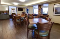 Wingate by Wyndham St Louis-Fenton Route 66 Hotels in Des Peres
