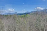 Smoky Mountain Cabin Rental Game Room, Fire Pit! - spa