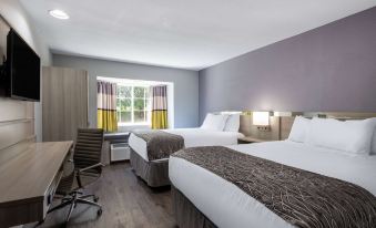 Microtel Inn & Suites by Wyndham Duncan/Spartanburg