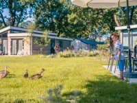Just Nature 4 Hotel in zona Het Loonsche Land