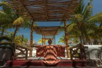 Ser Casasandra Holbox
