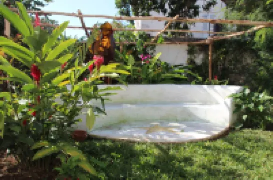 Hiliki House โรงแรมใน