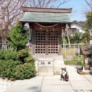 Shimoda Itoen Hotel Hanamisaki