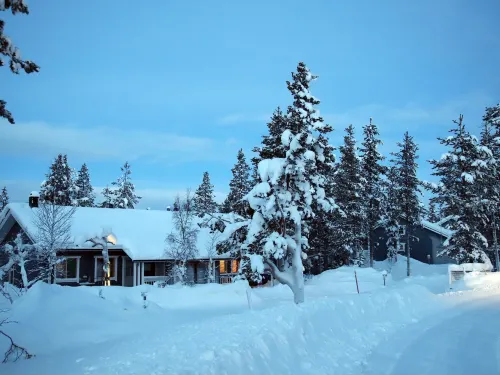 Tunturituuli a