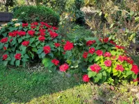 Soke Boutique Homestay Hôtels à : East Sikkim