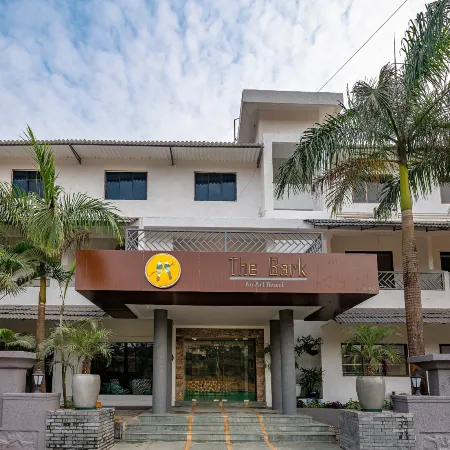 The Bark- An Art Hotel
