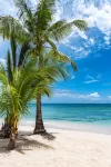 "Beach Happy" Beachfront Apartment by One Caribbean Estates - Apartments