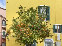 Il Marinaio Hotels in Rio