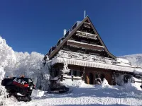 Forest Inn Sangoro Hotels in 