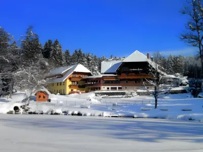 Landhaus Lauble Hotels in Wolfach