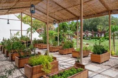 多哈麗思卡爾頓飯店 杜哈住宿飯店