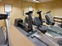 MUNCIE PLACE HOTEL & SUITES by IHG - gimnasio