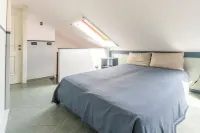 艾瑪之家，莫內利亞，Wifi