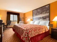 Super 8 by Wyndham Bowling Green South