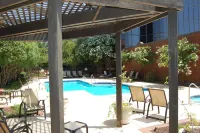 Hilton Greenville - Pool