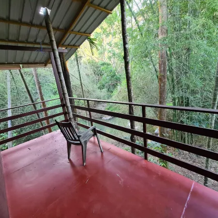 Deep Jungle Home