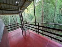 Deep Jungle Home Hotels in Nilgiris