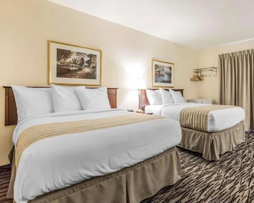 Econo Lodge Hotels in Haileybury