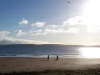 Coastal Waters (Hotel Barton)