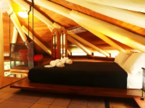 Daintree Cascades Hotels in Diwan