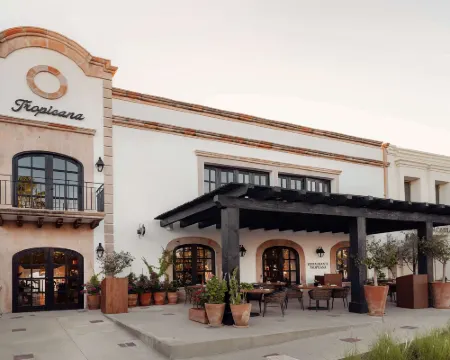 希爾頓塔佩斯特里精選洛斯卡沃斯熱帶酒店 聖何塞德爾卡沃酒店