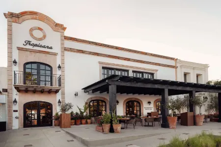 Tropicana Los Cabos, Tapestry Collection by Hilton Отели в г. Сан-Хосе-дель-Кабо