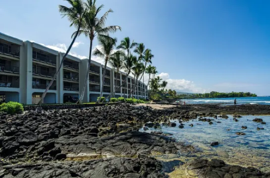 Direct Oceanfront Condo with AC, Amazing Sunsets, Tide Pools, Turtles & Surfers