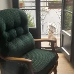 Appartement de Luxe Dans le Centre Historique