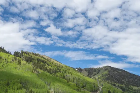 Downtown Telluride - 1 minute walk to EVERYTHING - Free parking