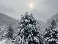 Ferienwohnung mit Fantastischem Ausblick, Direkt am Wald
