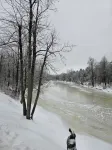 Cozy cabin located in Brasher Falls, NY. Pet friendly!
