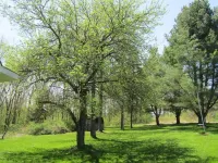 Secluded Cabin Retreat – Peace, Privacy & Nature