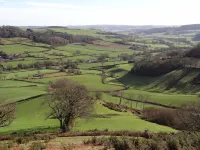 High Quality, Peaceful, Panoramic Views, AONB, close to Jurassic Coast. Hotels in Colyton