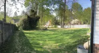 Leafy, Suburban Abode
