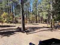 Your going to fall in love with this cabin.outstanding for family,multi families