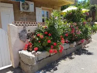 Garden level in typical Corsican house Monacia d'Aullène