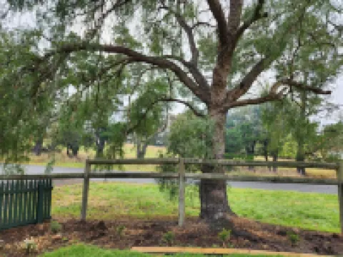 Farmstay Peppercorn Cottage.  Space to appreciate. Hotels in Gnarwarre