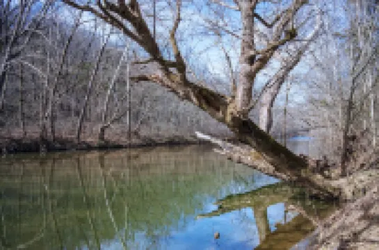 Cozy Creekside Retreat w/ Fire Pit & Game Room Near Historic Lexington, VA