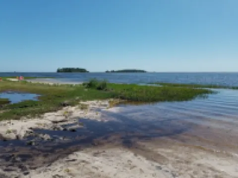 GULF ACCESS  home w/ dockage, private yard & 2 min walk to eat and stores! Hotels in Steinhatchee