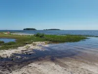 GULF ACCESS  home w/ dockage, private yard & 2 min walk to eat and stores!