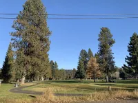 BRIGHT & COMFORTABLE CONDO CLOSE TO EVERYTHING! NICE WOOD FIREPLACE & FREE WIFI!