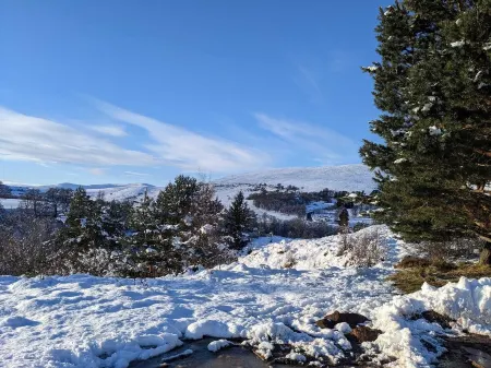 Stylish traditional cottage in the heart of Whisky country Отели в г. Ballindalloch