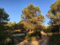 A corner of paradise in the heart of the Alpilles with SPA